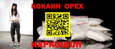 мдпв Кингисепп