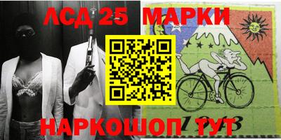 мдпв Кингисепп