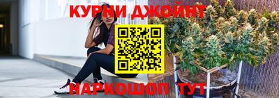 мдпв Кингисепп