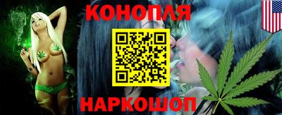 мдпв Кингисепп