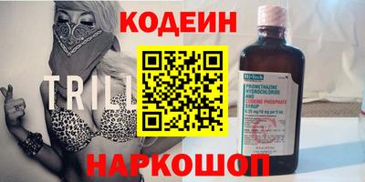 мдпв Кингисепп