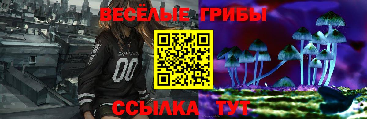 Псилоцибиновые грибы GOLDEN TEACHER  Вход с VPN  Галлюциногенные грибы GOLDEN TEACHER  купить закладку  Кызыл 