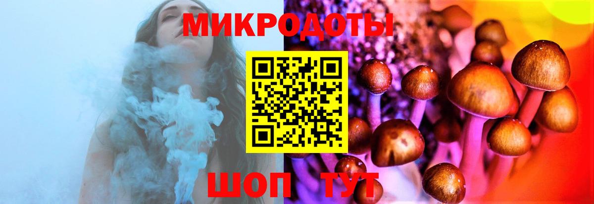 Псилоцибиновые грибы Psilocybe Кызыл